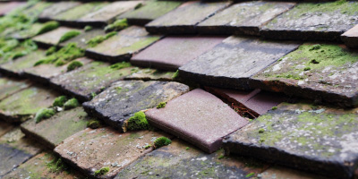 Milton Ernest roof repair costs